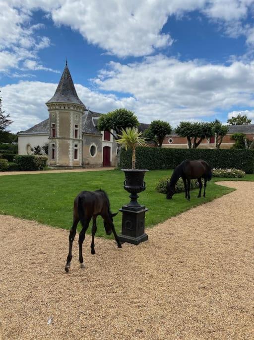 Chateau Du Maurier La Fontaine-Saint-Martin Esterno foto