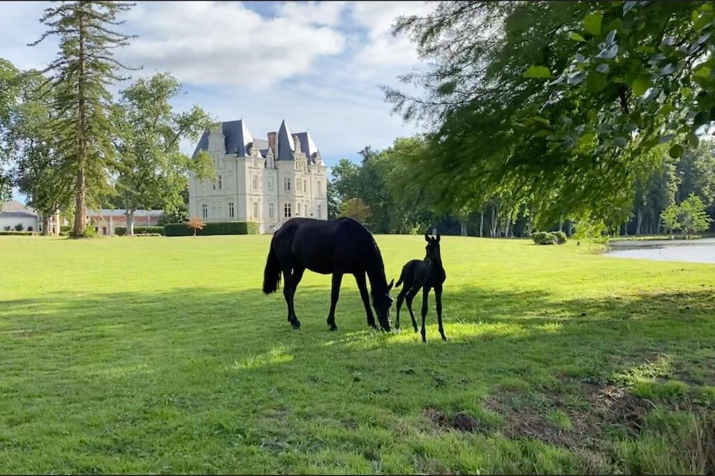 Chateau Du Maurier La Fontaine-Saint-Martin Esterno foto